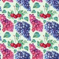 Seamless pattern watercolor hand drawn berries: purple red grape and cherry with green leaves on blue background. Summer Royalty Free Stock Photo