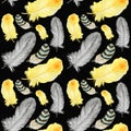 Seamless pattern Watercolor hand drawn bird Bright yellow, gray, striped beige feather. Illustration fabric texture Royalty Free Stock Photo