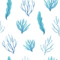 Seamless pattern of watercolor hand-drawn calm seaweeds