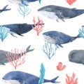 Seamless pattern of watercolor hand drawn calm whales in gray and blue tones, and bright corals and seaweeds