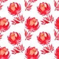 Seamless pattern watercolor hand-drawn red peony or rose abstract flower with purple leaves on white background Royalty Free Stock Photo