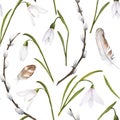 Seamless pattern with watercolor illustration of snowdrops, feathers and pussy-willow branches on white background Royalty Free Stock Photo