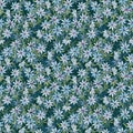 Seamless pattern, watercolor illustration, gentle blue clematis flowers on a green background.