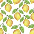 4062 lemon, Seamless pattern, watercolor illustration, lemon with branch, tropical fruit and flowers, background for different des Royalty Free Stock Photo