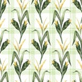 Seamless pattern with watercolor illustrations of corn stalks