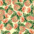 Seamless pattern with watercolor irish rose. Nature form.