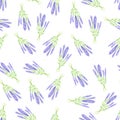 Seamless pattern with watercolor lavander flower Royalty Free Stock Photo