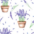 A seamless pattern with the watercolor lavender flowers in a pot Royalty Free Stock Photo