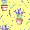 A seamless pattern with the watercolor lavender flowers in a pot Royalty Free Stock Photo