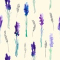 Seamless pattern with Watercolor lavender flowers Royalty Free Stock Photo