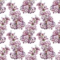 Seamless pattern watercolor lilac isolated on white background. Spring hand-drawn purple pink flower for wedding Royalty Free Stock Photo