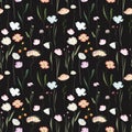 Seamless pattern of watercolor meadow flowers, grasses and wildflowers