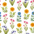 Seamless pattern with watercolor multicolored flowers on a white background. Bright floral pattern. Royalty Free Stock Photo