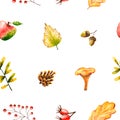 Seamless pattern with watercolor mushroom, leaves, rowan, acorn, apple, rosehip, cone. Illustration isolated on white. Hand drawn Royalty Free Stock Photo