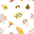 Seamless pattern with watercolor mushrooms, leaves, rowan, acorn, rosehip, cone. Illustration isolated on white. Hand drawn autumn Royalty Free Stock Photo