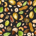 Seamless pattern with watercolor nuts