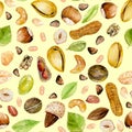 Seamless pattern with watercolor nuts