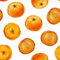 Seamless pattern watercolor orange tangerine