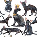 Seamless pattern of oriental black cats. Painting animal illustration