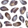 Seamless pattern with watercolor oysters on white