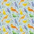 Seamless pattern with watercolor painted different birds on a blue background.