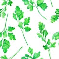 A seamless pattern with the watercolor parsley on a white background