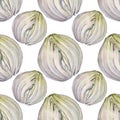 Seamless pattern watercolor peeled slice onion isolated on white background. Vitamin golden brown vegetable for health