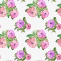 Seamless pattern of watercolor petunia flowers on a white background