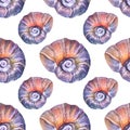 Seamless pattern watercolor pink blue spiral sea shell with pearl isolated on white background. Hand drawn nature Royalty Free Stock Photo