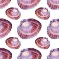 Seamless pattern watercolor pink brown sea shell with pearl isolated on white background. Hand-drawn nature realistic Royalty Free Stock Photo