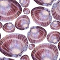 Seamless pattern watercolor pink brown sea shell with pearl on white. Creative hand-drawn nature realistic background Royalty Free Stock Photo