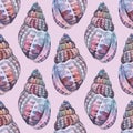 Seamless pattern watercolor pink brown spiral sea shell isolated on pink background. Hand drawn nature realistic object Royalty Free Stock Photo