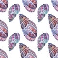 Seamless pattern watercolor pink brown spiral sea shell isolated on white background. Hand drawn nature realistic object Royalty Free Stock Photo