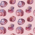 Seamless pattern watercolor pink brown spiral sea shell with pearl on grey background. Hand drawn nature realistic Royalty Free Stock Photo