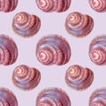 Seamless pattern watercolor pink brown spiral sea shell with pearl on grey background. Hand-drawn nature realistic Royalty Free Stock Photo