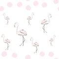 Seamless pattern of watercolor pink flamingos with black outline Royalty Free Stock Photo