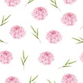 Seamless pattern of watercolor pink peonies and green sprigs. Isolated hand painted flowers and leaves on white Royalty Free Stock Photo