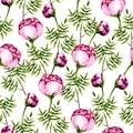 Seamless pattern of watercolor pink peonies and green sprigs. Isolated hand painted flowers and leaves on white Royalty Free Stock Photo