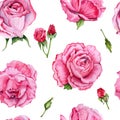 Seamless pattern with watercolor pink roses. Hand drawn illustration on white background Royalty Free Stock Photo