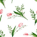 Seamless pattern with watercolor pink tulips, genista, pistache branches. Hand drawn illustration is isolated on white. Ornament