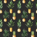 Seamless pattern of watercolor potted plants, home plants in gold pots