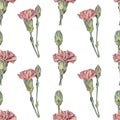 Seamless pattern watercolor purple carnation on white background. Hand-drawn spring summer pink flower for celebration