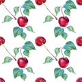 Seamless pattern watercolor red cherry with green leaves on white. Hand-drawn sweet summer food berry fruit. Art Royalty Free Stock Photo