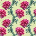 Seamless pattern watercolor red peony summer flower on green background. Hand-drawn floral plant. Creative object for