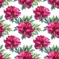 Seamless pattern watercolor red peony summer flower with green leaves on white. Hand-drawn floral plant. Creative