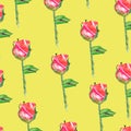 Seamless pattern with watercolor roses. Fashion print. Hand drawn.