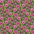 Seamless pattern of watercolor Saintpaulia flowers. Floral botanical digital paper