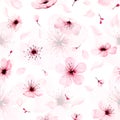 Seamless pattern with watercolor sakura branches hand painted. illustration on white background