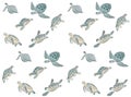 Seamless pattern with watercolor sea turtle on white background.Summer exotic print