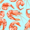 A seamless pattern with the watercolor shrimps Royalty Free Stock Photo